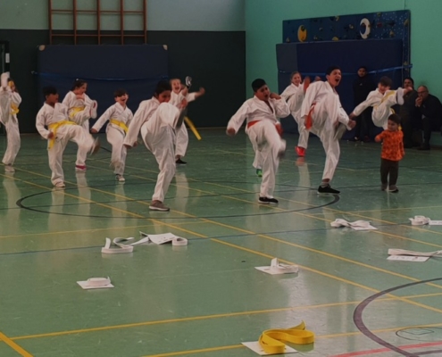 Tang Soo Do3